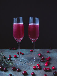 Cranberry Aquavit Cocktail Image