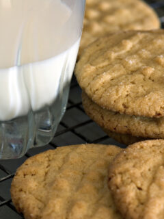 Maple Peanut Butter Cookies Photo