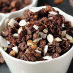 Gluten Free Almond Joy Granola Photo