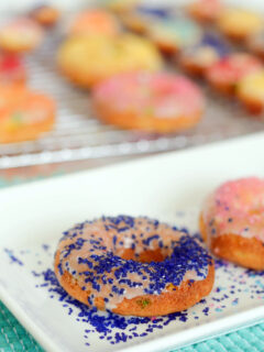 Gluten Free Funfetti Cake Donuts Pic
