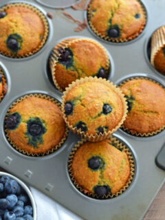 Grain Free Blueberry Muffins Image