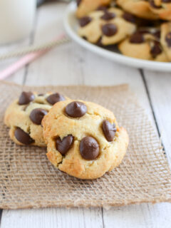 Paleo Chocolate Chip Cookies Image
