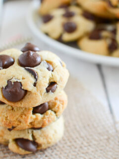 Paleo Chocolate Chip Cookies Photo