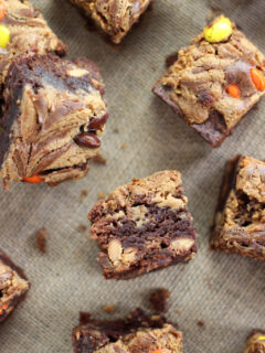 Peanut Butter Swirled Brownies Pic