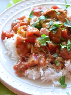 Slow Cooker Chicken Tikka Masala Photo