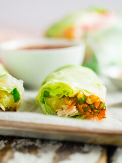 BBQ Chicken Summer Rolls Photo