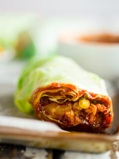 BBQ Chicken Summer Rolls Pic