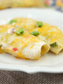 Gluten Free Cheesy Chicken Enchiladas Photo