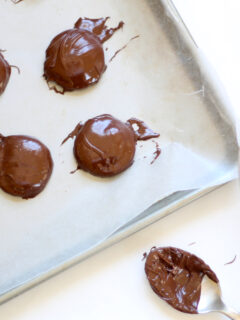Homemade Mallomars Image