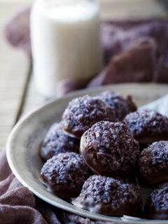 Paleo Blueberry Chocolate Macaroons Image