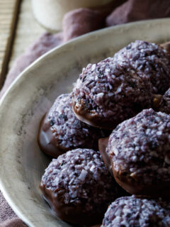 Paleo Blueberry Chocolate Macaroons Picture