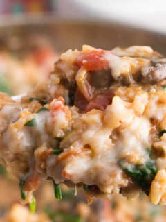 Sausage and Rice Skillet Image