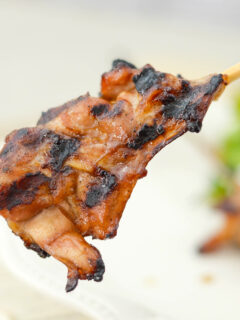 Gluten Free Teriyaki Chicken Skewers Pic