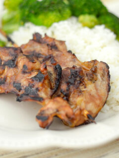 Gluten Free Teriyaki Chicken Skewers Picture