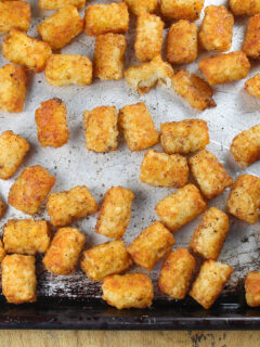 Oven Fried Tater Tots Image