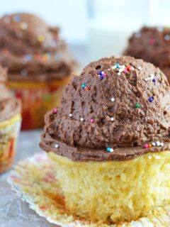 Vegan Chocolate Frosting Photo