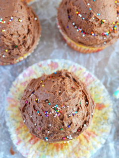 Vegan Chocolate Frosting Pic