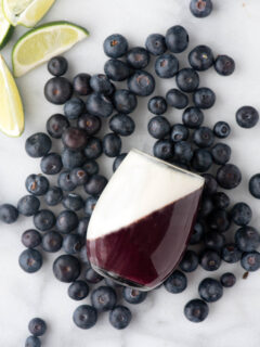 Blueberry Guava Panna Cotta Picture
