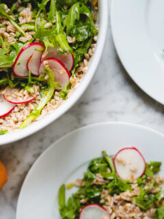 Farro Arugula Salad Image