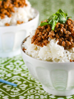 Gluten Free Korean Turkey and Rice Bowl Photo