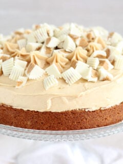 White Chocolate Peanut Butter Cheesecake Photo