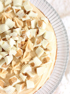 White Chocolate Peanut Butter Cheesecake Picture