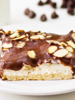 Almond Joy Cream Pie Bars Photo