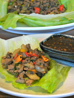Asian Turkey Lettuce Wraps Picture