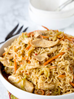 Chow Mein Noodles with Chicken Picture