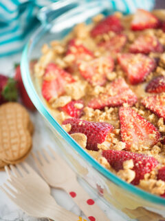 Peanut Butter & Jelly Lasagna Picture
