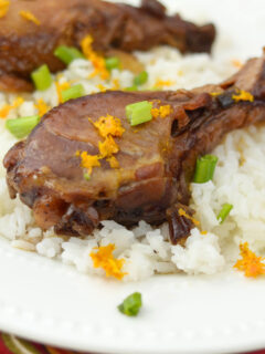 Slow Cooker Orange Chicken Photo