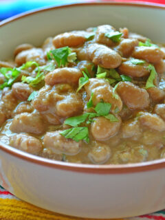 Slow Cooker Ranchero Beans Image