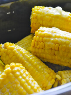 Slow Cooker Corn on the Cob Image