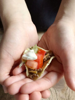 Taco Appetizers Picture