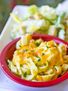 Broccoli Noodles Picture