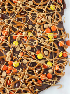 Chocolate Peanut Butter Pretzel Bark Picture