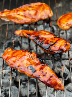 Gluten Free Teriyaki Chicken Picture