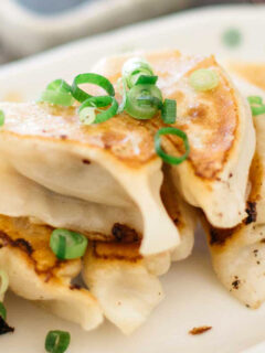 Gyoza Photo