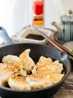 Gyoza Picture