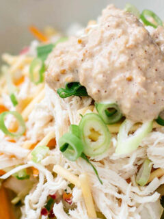 Asian Chicken Salad with Sesame Dressing Photo