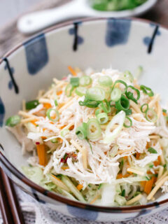 Asian Chicken Salad with Sesame Dressing Picture