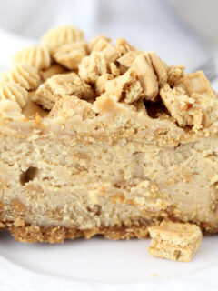 Nutter Butter Cheesecake Pic
