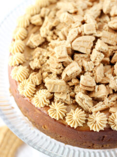 Nutter Butter Cheesecake Picture