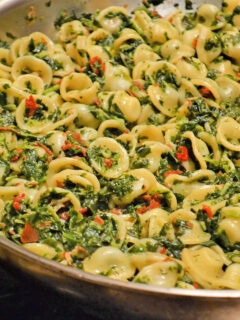 Pasta Florentine with Orecchiette Photo