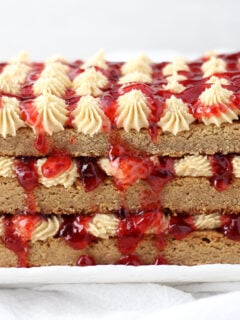 Peanut Butter & Jelly Torte Photo