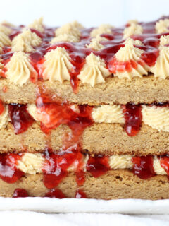 Peanut Butter & Jelly Torte Pic