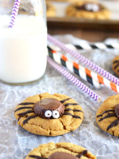 Spider Cookies Pic