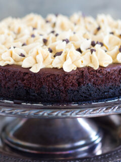 Ultimate Chocolate Peanut Butter Torte Image