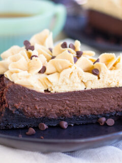 Ultimate Chocolate Peanut Butter Torte Photo