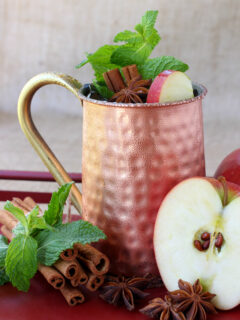 Apple Cider Mojito Image